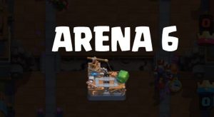 arena 6