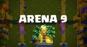 arena 9
