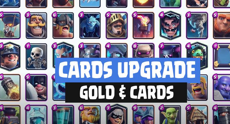 cards update cards